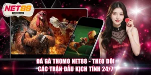 Đá gà Thomo
