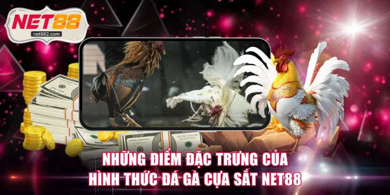 Những điểm đặc trưng của hình thức đá gà cựa sắt NET88